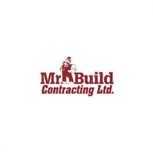 Mr. Build